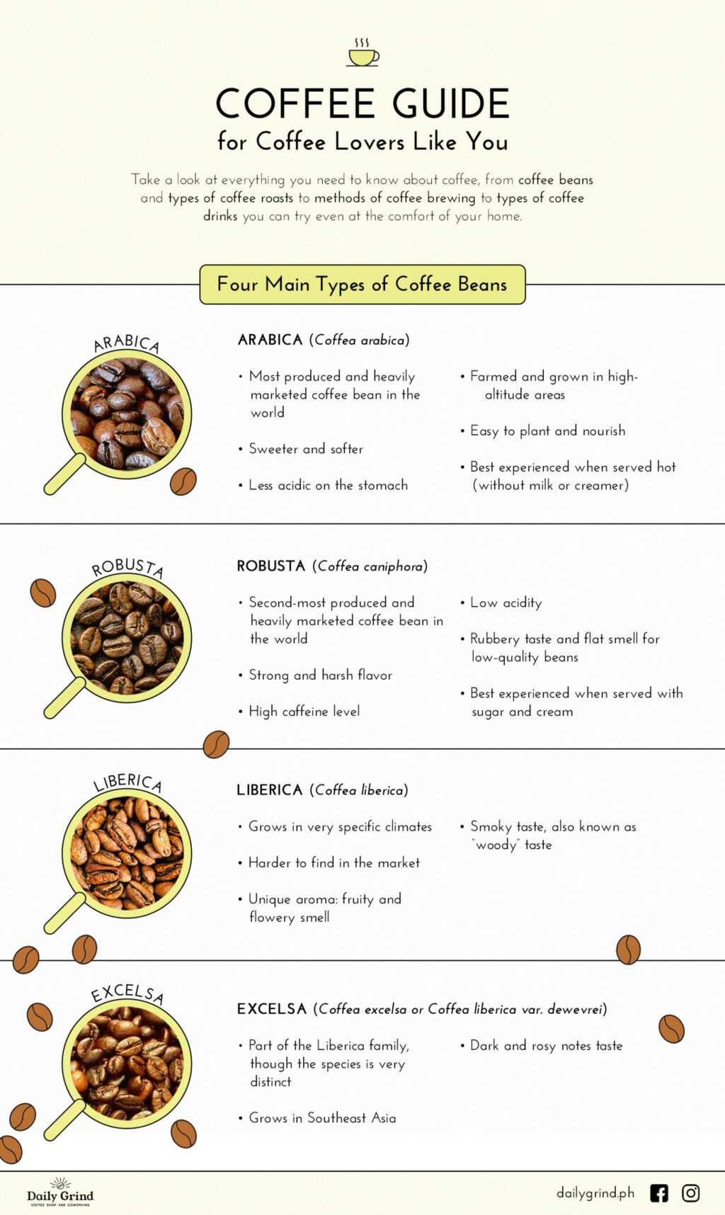 infographic for four main types of coffee beans