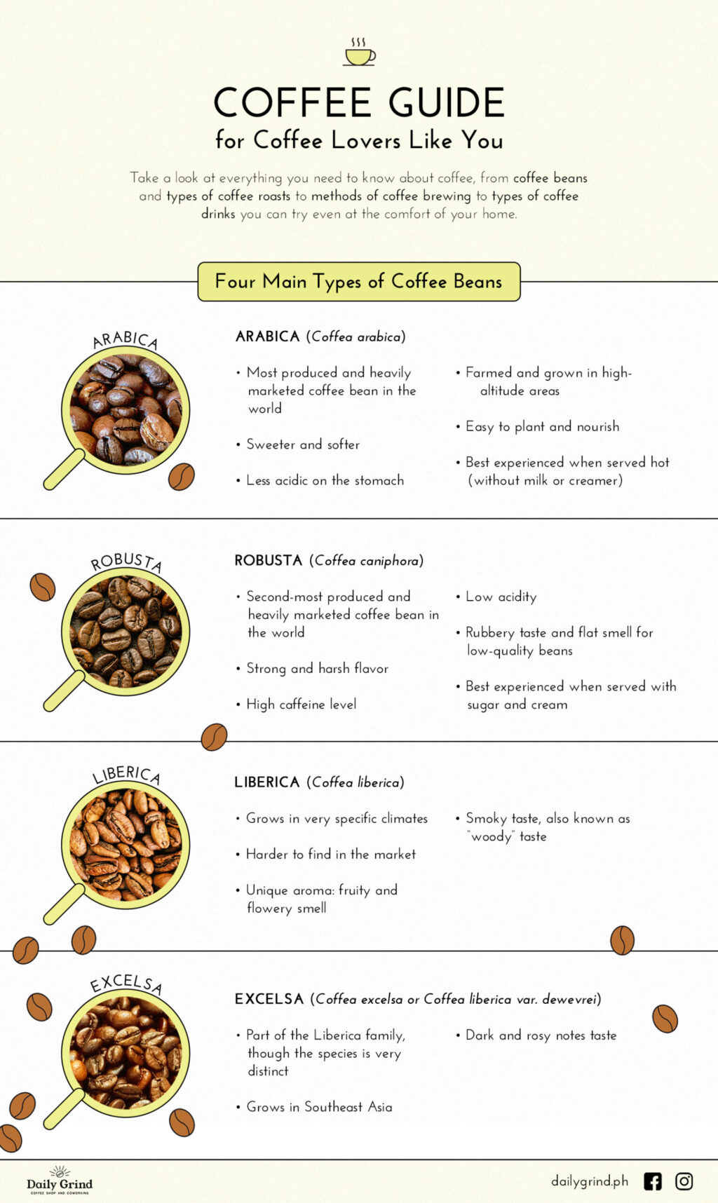 Types of shop coffee beans